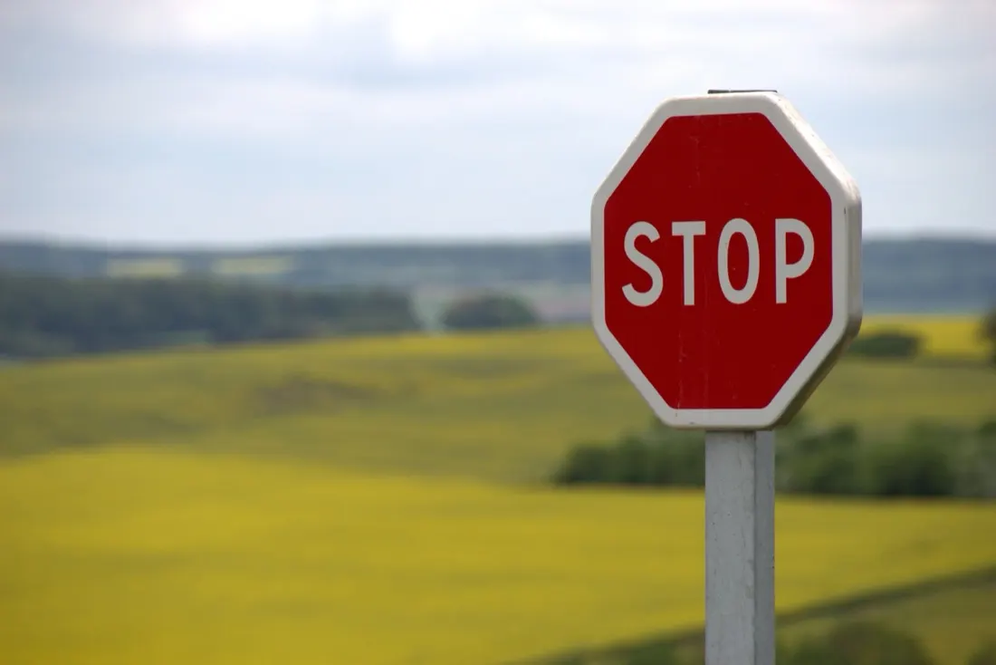 A red stop sign standing before a yellow flowering field, illustrating employee resistance to change